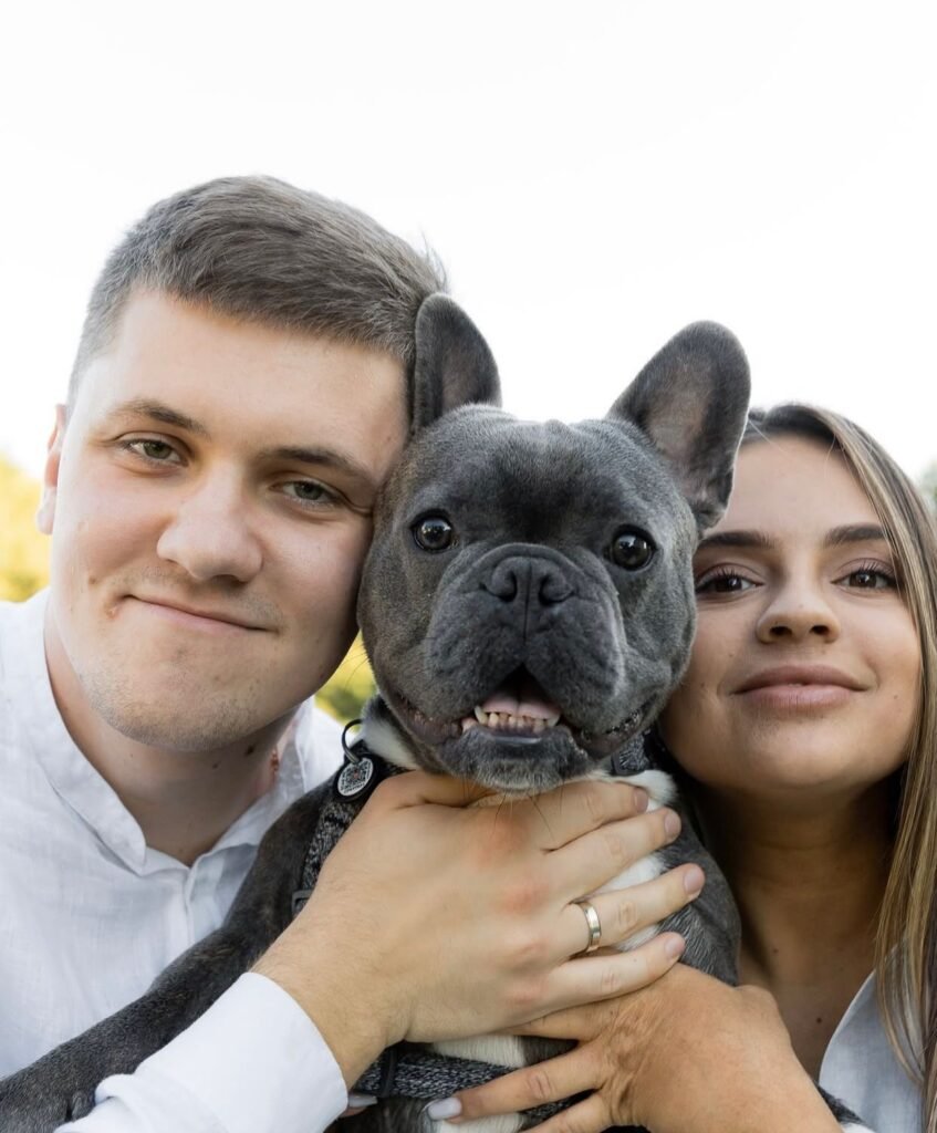 Französische Bulldoggen welpen zu verkaufen
